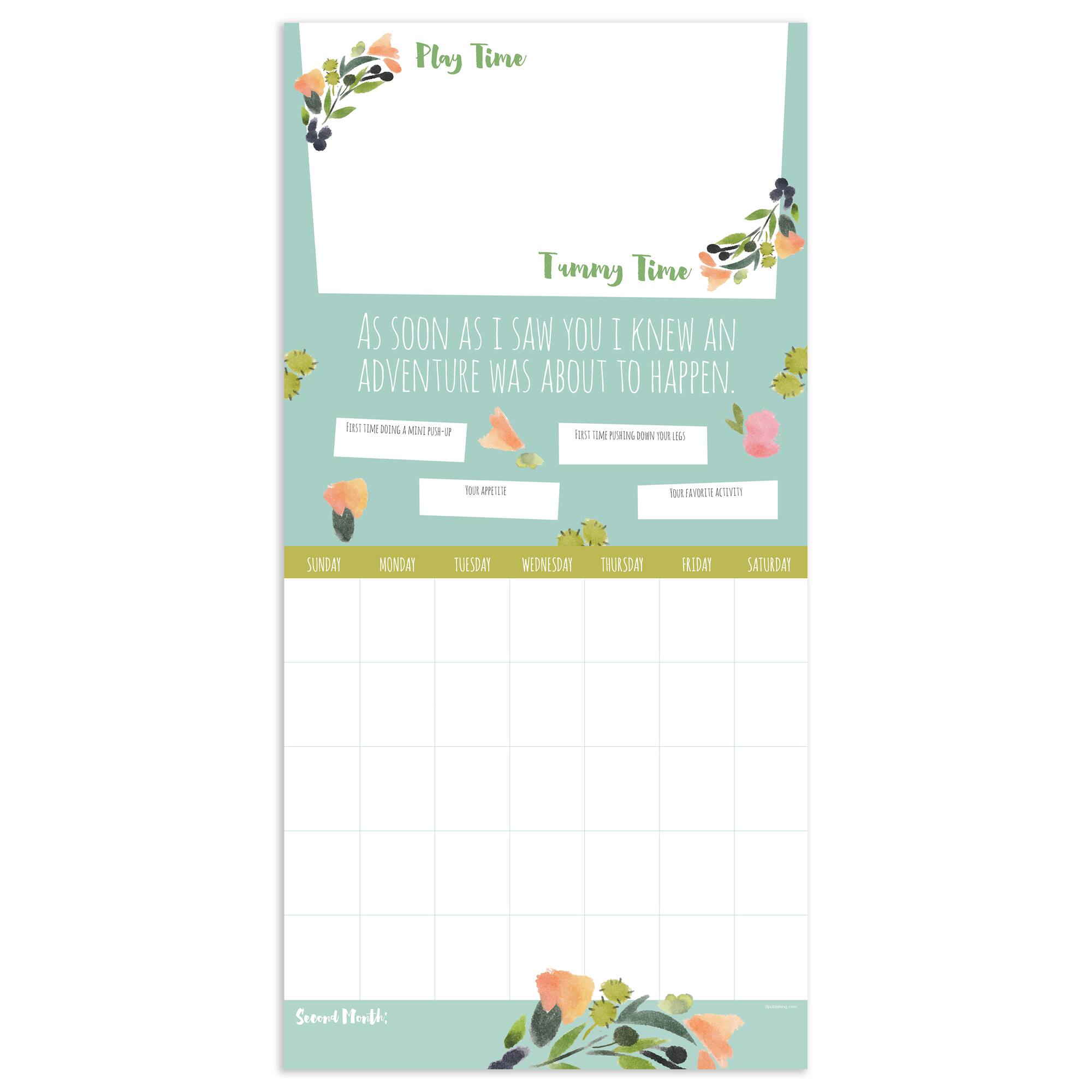 TF Publishing Baby's First Year Undated Keepsake Wall Calendar